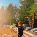 거림목장 이미지