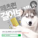 펫택시 이미지