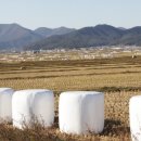 청곡사료 이미지