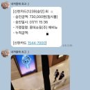 벨라 펫 살롱 이미지