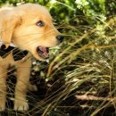 바른유통 이미지