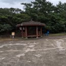 다려도이야기 | 제주 올레길 19코스 안내 및 후기ㅣ조천 ~ 김녕포구