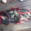 산들 낚시터 이미지