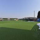 예삐애견 이미지