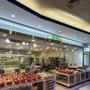 제이오케이컴퍼니강남푸릇해