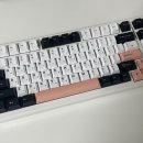 F99 이미지