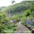 충청농장 이미지