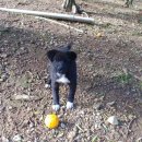 일루와농장 이미지