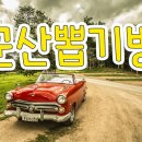 캐치캐치인형뽑기방 이미지