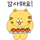 영진광택 이미지