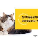 괴산동물병원 이미지