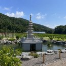 금강사 | 김포 금강사추모공원｜언덕 없는 평지 수목장, 직접 다녀와보니
