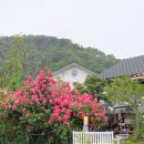 강동로3-10 이미지