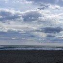 포도나무 민박 이미지