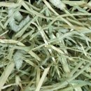 덕용농장 이미지