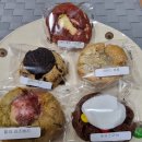 버니 베이커리 이미지