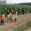 진안마이꿈유치원 이미지