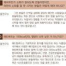 해피루트