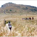 E1 대구LPG충전소 이미지