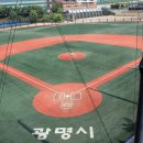 광명시립야구장 이미지