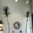 칠아웃(chill out) | 울산 매곡 신상 카페 : 칠아웃(CHILL OUT) / 오픈 이벤트 ~11/31/ 로스터리 카페