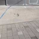 체육공원역 이미지