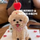 곡식이네 수제간식 이미지