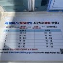 바다쪼개 이미지