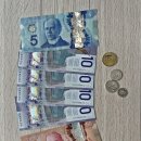 한솔카서비스 | 캐나다 여행 사전준비 (2024.10.11.~19.)