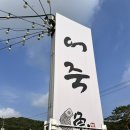 한가 정통 어죽 | 포천 광릉수목원 맛집 한가정통어죽 재방문후기