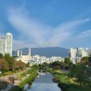 일상의 행복 이미지