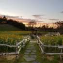 섬강농원 이미지