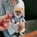 피피케이키친 이미지