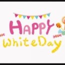 화이트 노래연습장 이미지