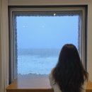 모레브A 이미지