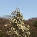 함양군청 구내식당 앞 | 남산도서관 구내식당 메뉴, 가격, 실제후기 | 주차장, 열람실 정보