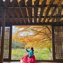완산-139 | 11월 가을 전주 혼자여행, 전주 당일치기 (경기전, 전주한옥마을, 전주수목원 ) 한복여행