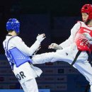 우승태권도 이미지