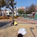 쑥공원 이미지