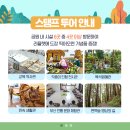 박봉덕닥종이인형갤러리 이미지