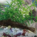 반석산에코스쿨 이미지