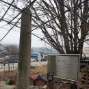 옥천리 당간지주 Daum카페