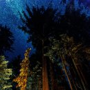 여가2 민박 이미지