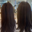 보보스헤어샵 - 횡성군 | 분당 수내역 미용실 박승철 헤어스튜디오 영도디자이너 뿌리매직 솔직 후기