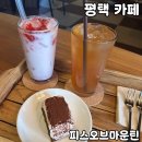평택 이색 카페 [피스오브마운틴] 내돈내산 후기