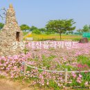 경남 창원 대산플라워랜드 주차장 방문 후기 6월 여름꽃 가볼만한곳