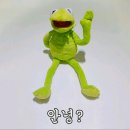 아카이타코 이미지