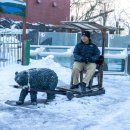 곰목장 | 노보리베츠 곰목장, 삿포로 근교 여행지로 진짜 괜찮을까?