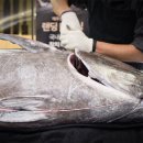 (주)월드여행사 이미지