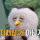 딩동댕 Daum카페